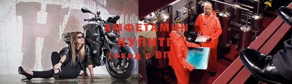 трава Аркадак
