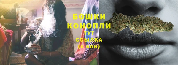 трава Аркадак