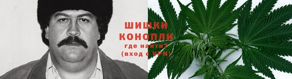 прущая мука Арсеньев