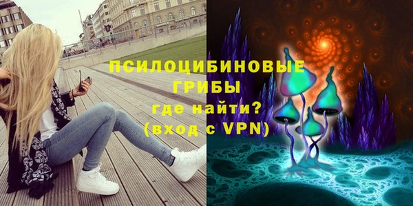 дживик Армянск