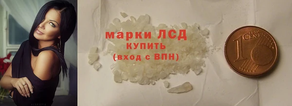 трава Аркадак