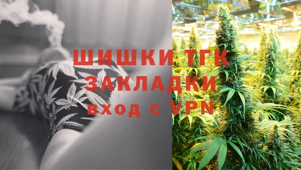 трава Аркадак