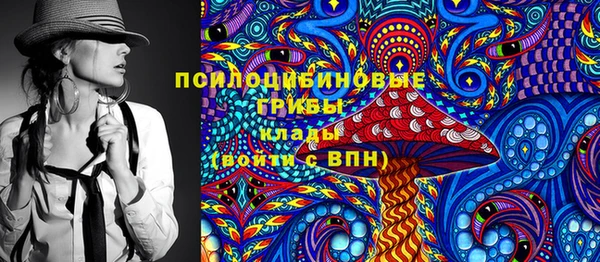прущая мука Арсеньев